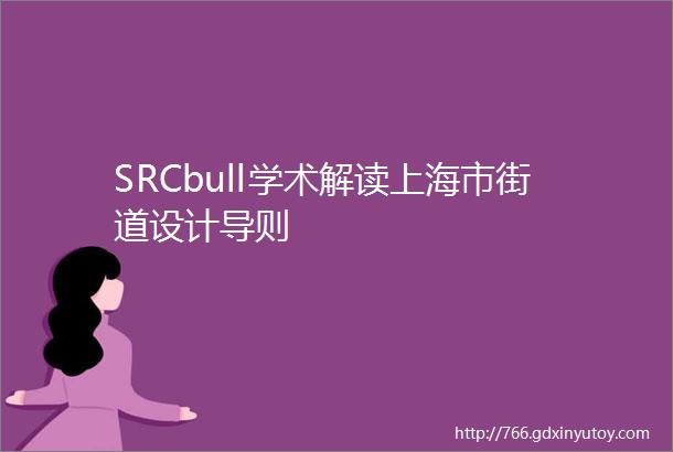 SRCbull学术解读上海市街道设计导则